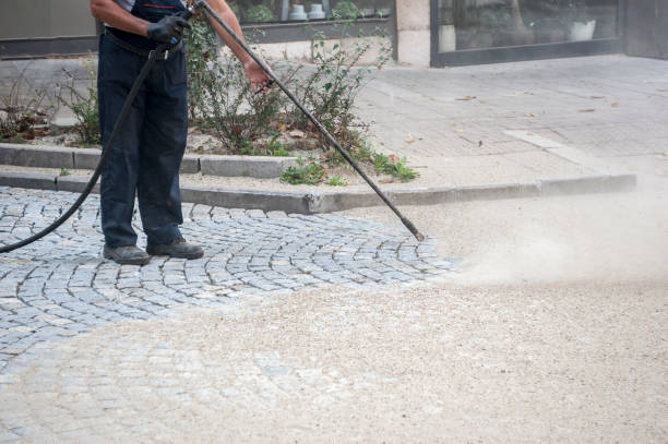 Best Animal Enclosure Cleaning  in Mountain View Acres, CA